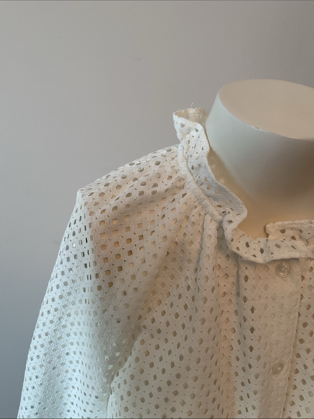 Eyelet Ruffled Neck Blouse - Picture 3 of 9